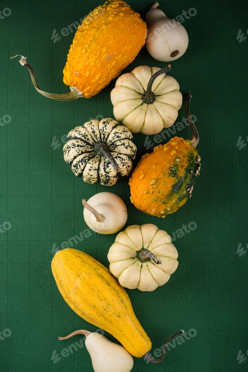 Preview: Decorative pumpkin on green background.