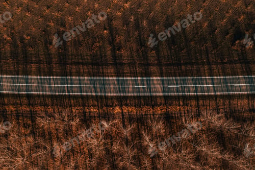 Preview: Aerial view of empty road and wooded landscape in autumn afternoon, top view