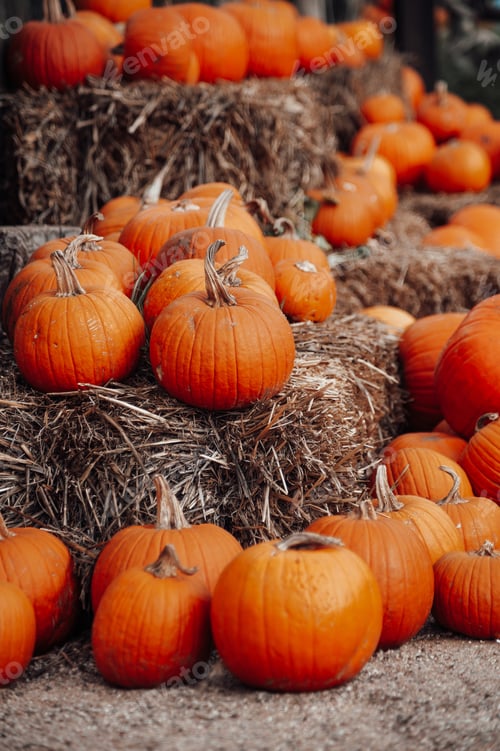 Preview: Pumpkins for sale at an outdoor market in autumn season
