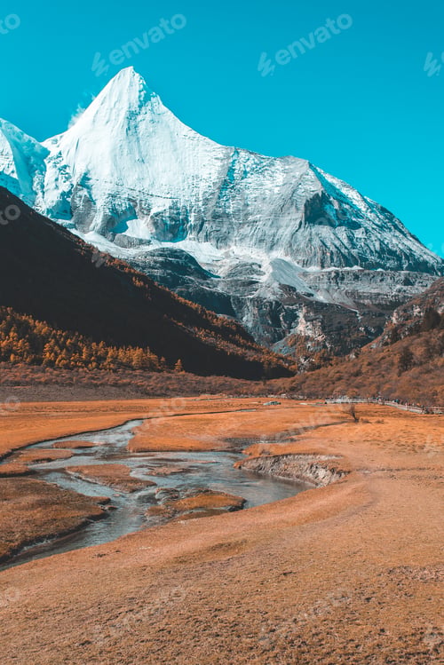 Preview: Colorful in autumn forest and snow mountain at Yading nature reserve