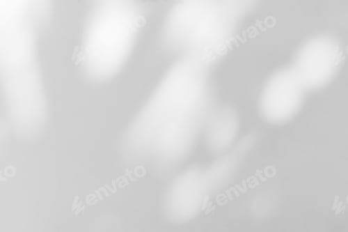 Preview: White wall with shadow of leaves overlay effect bokeh background.