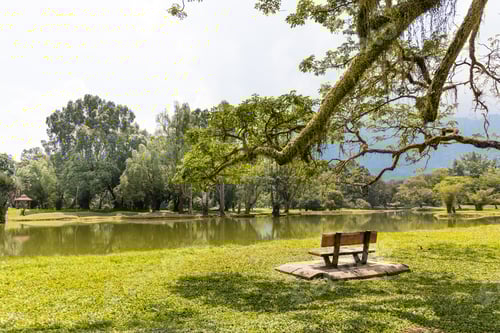 Visualização: O Taiping Lake Gardens é o primeiro jardim público estabelecido durante o domínio britânico na Malásia.