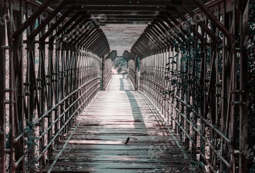 Preview: Bridge in jungle