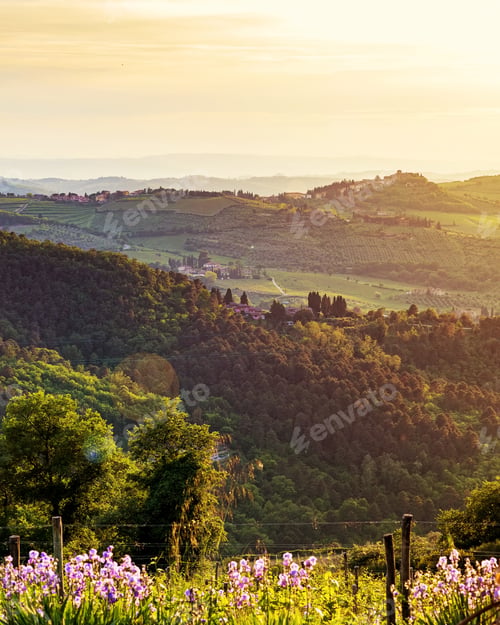 Preview: Chianti Italy Rolling Hillside at Sunset