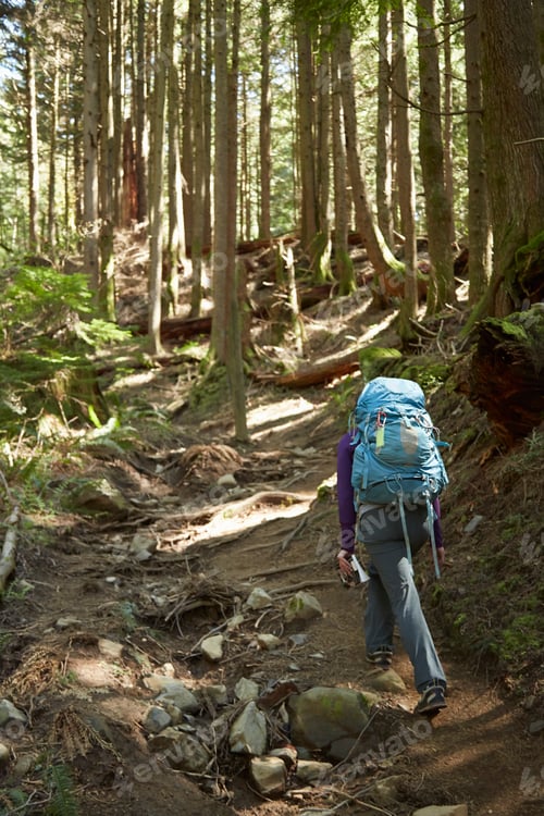Preview: Female backpacker hiking in woods