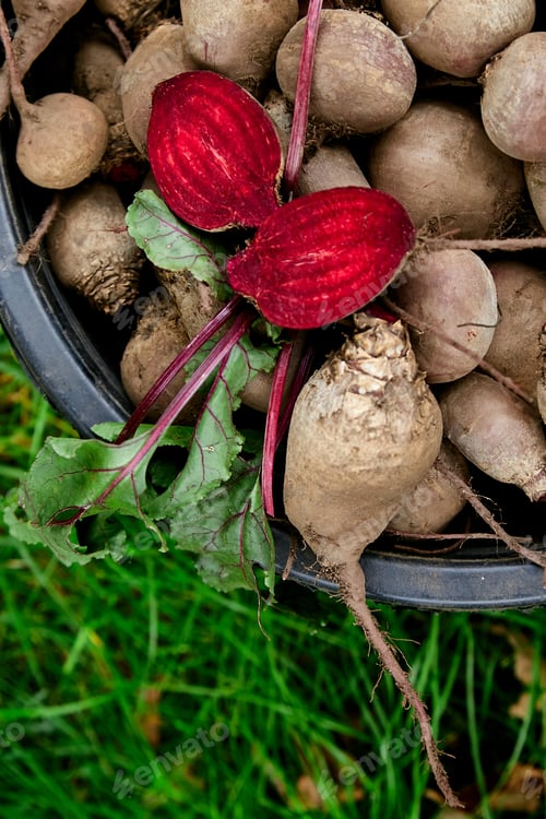 Preview: Fresh organic beetroot with green leaves in a basket.