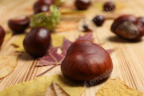 Preview: Brown chestnut fruits with yellow leaves on a wooden background