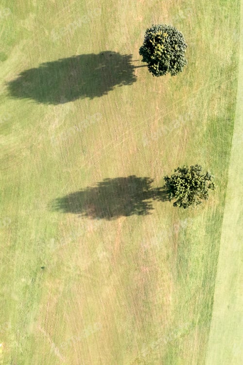 Preview: View of trees shadow aerial shot