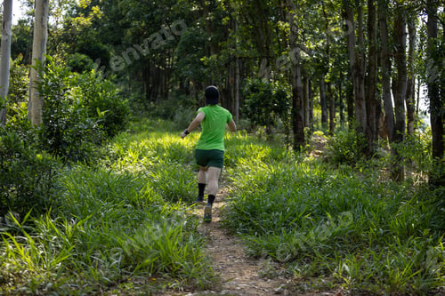 Preview: Trail runner running in summer forest trail