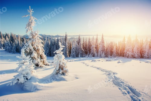 Preview: Fantastic winter landscape and worn trail leading into the mount