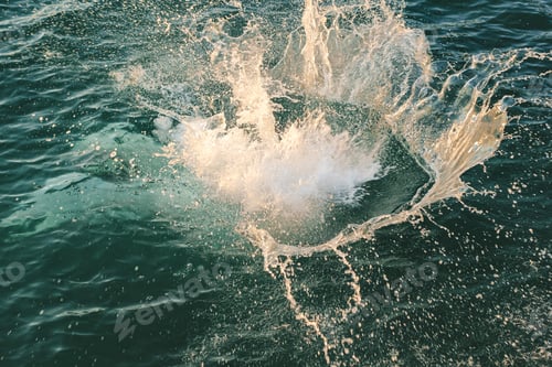 Preview: The splash in the sea after diver jumping in water. Vacation, summertime healthy lifestyle concept N