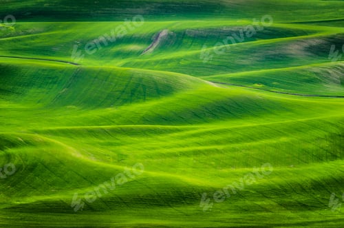 Preview: High angle shot of grassy hills at daytime in Eastern Washington