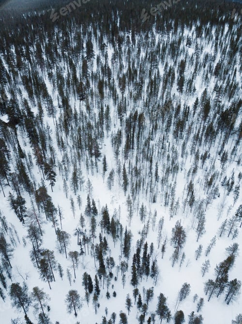 Preview: Lapland drone shot