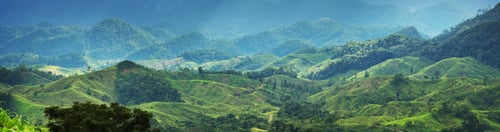 Preview: Green hills