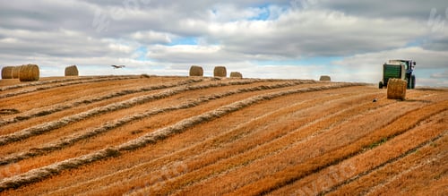 Preview: Tractor with bale machine making round bales harvesting hay on the hills field with a stork