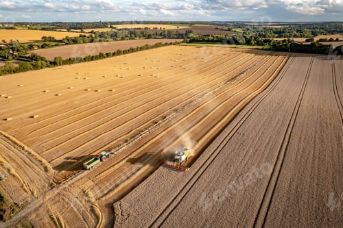 Preview: Harvest Fields