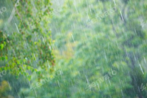 Preview: rain in the forest, the natural background and texture. Blurred abstract image.