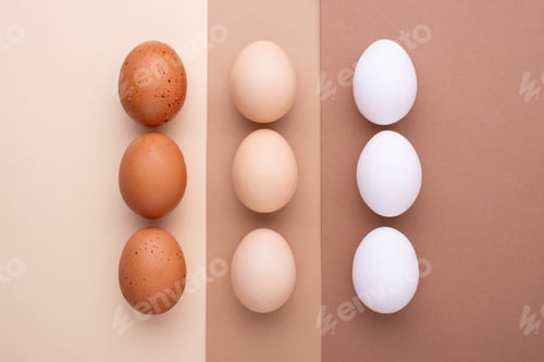Preview: Different color of eggs, modern trendy style