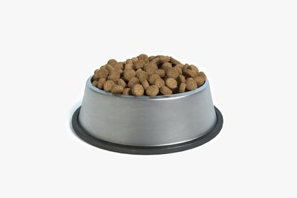 Preview: Stainless Steel Pet Bowl Filled with Dry Food