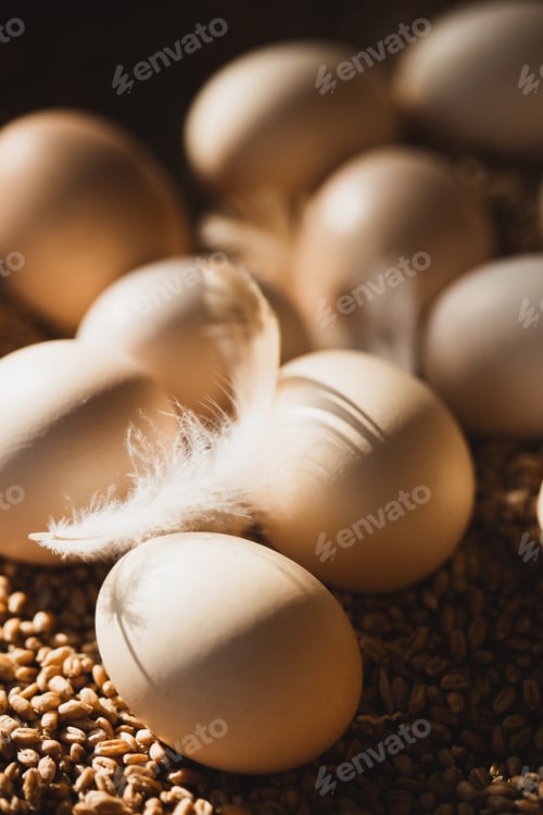 Preview: eggs lie on wheat