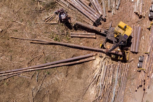 Preview: An operator of a timber crane loading logs that will be transported to a large transportation truck