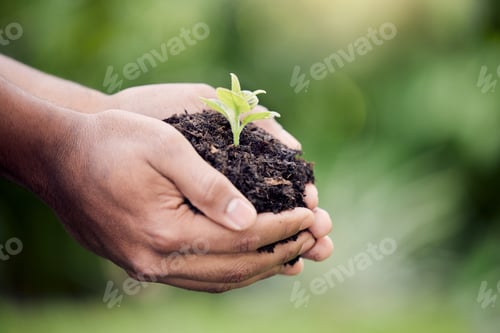 Preview: So green, so clean. Shot of an unrecognisable person holding a plant growing out of soil.