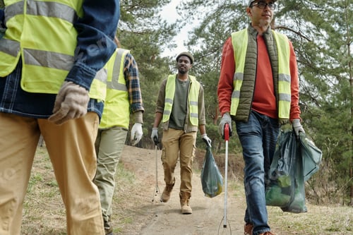Preview: Volunteers Cleaning Forest Trail during Environmental Volunteer Event