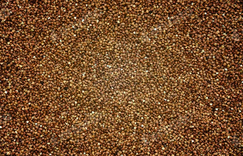 Preview: Background texture of a large pile of buckwheat. Many buckwheat grains close-up in daylight