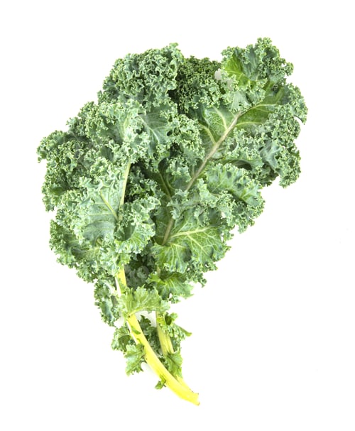 Preview: Fresh cale lettuce leaf on a white isolated background. Vegetarian and dietary healthy food product
