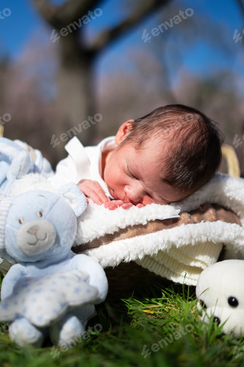Preview: Newborn baby sleeping peacefully outdoors with plush toys