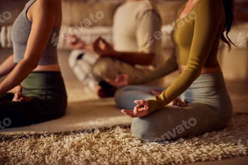 Preview: Two females and a male do yoga at home, doing meditation.