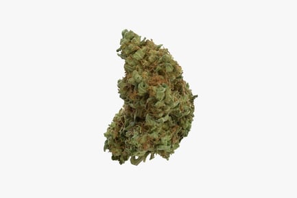 Preview: Girl Scout Cookies Cannabis Bud - Detailed Close-Up