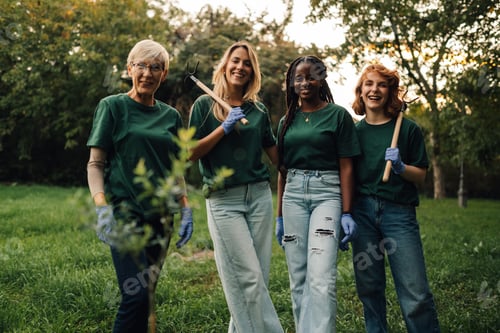 Preview: Volunteers planting trees in the forest