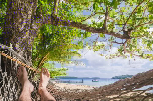 Preview: in the hammock at the beach, point of view