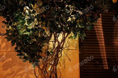 Preview: Stylish modern tree with green leaves in christmas lights on building in evening. Atmospheric time