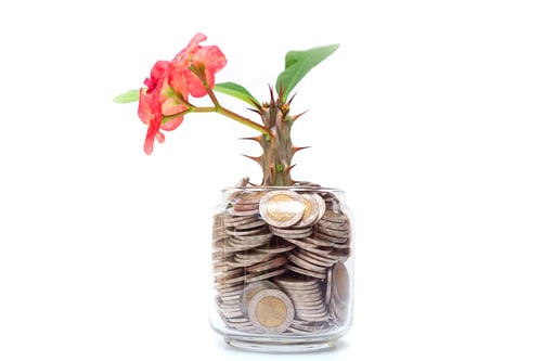 Preview: Tree with flowers growing on glass piggy bank from pile of coins