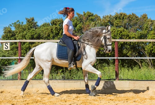 Preview: training of riding girl