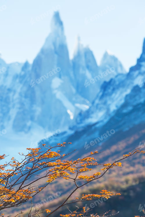 Preview: Cerro Torre