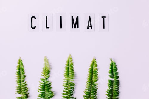 Preview: planet earth