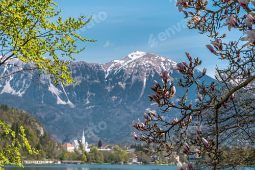 Preview: Blooming tree with the mountains on the background