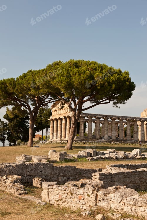 Preview: Ancient ruins bask in the warm glow of a setting sun amidst towering pine trees.