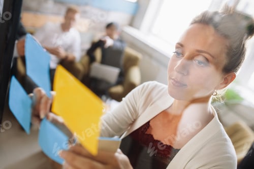 Preview: Woman presenting ideas to colleagues during meeting