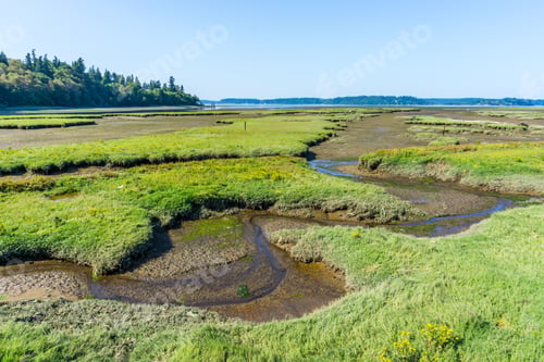 Preview: Grass Mounds And Mud Flats At The Nisqually Wetlands Near Olympia, Washington.