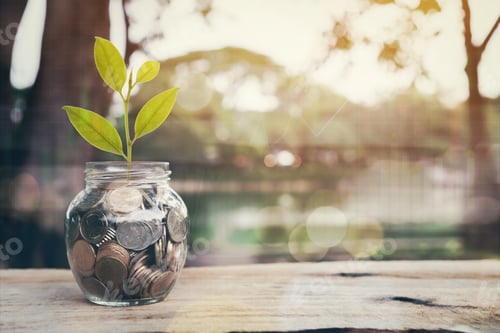 Preview: Plant on pile coins in the bottle and graph financial, Money growing concept and the goal success.