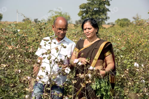 Preview: Indian farmer couple in their farm