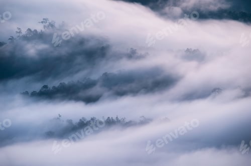 Preview: Sea of fog flowing through mountain peak, Foggy morning, Misty landscape view