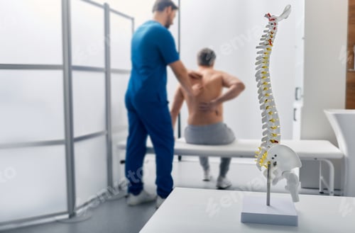 Preview: Anatomical model of spine on table in manual therapist's office. Adult man patient during spinal