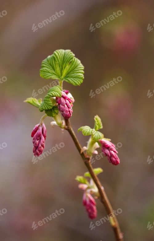 Preview: Springtime