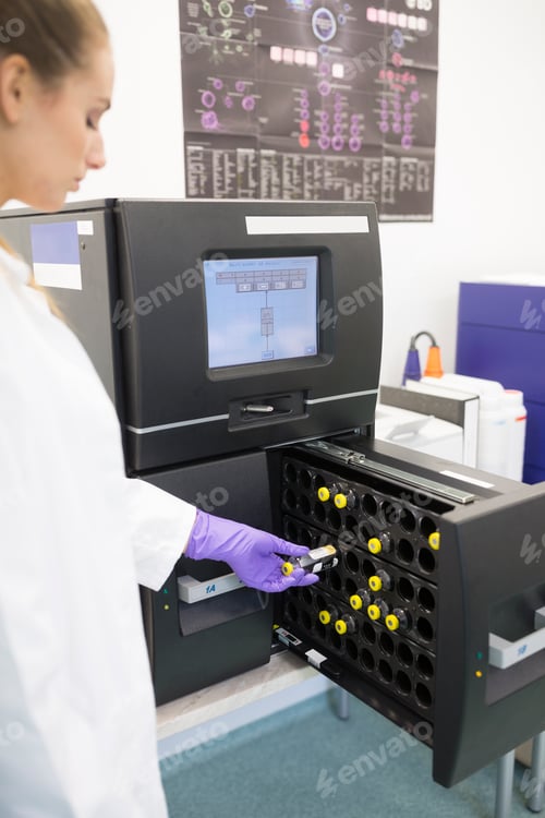 Visualização: Verificação da contaminação microbiana