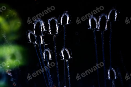 Preview: Grass on background of glowing circle